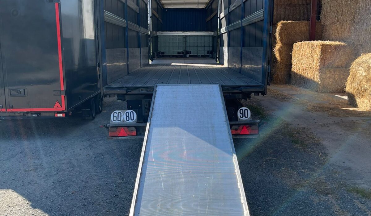 WhatsApp Image 2025-09-30 at 15.28.48 (1) copie